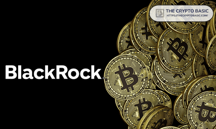 BlackRock Recommends Bitcoin Allocation With Addition to Its Model Portfolio